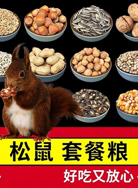 松鼠粮食食物魔王金花饲料主粮