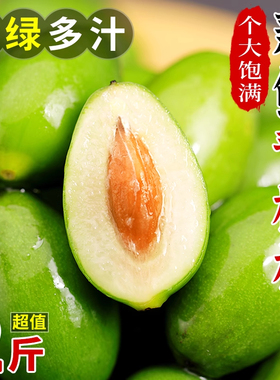 2025年当季新鲜橄榄福建特产青橄榄生吃煲汤檀香橄榄水果包邮500g