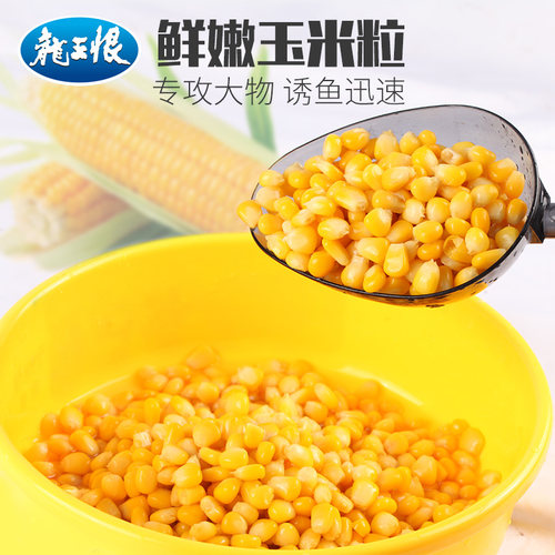依肯国际鱼饵钓鱼甜嫩玉米粒饵料野钓草鱼鳊鱼翘嘴大物专用打窝
