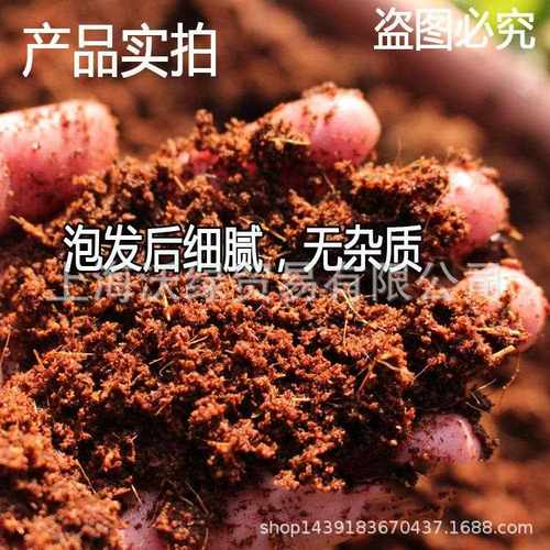 新款直销低盐椰砖营养土椰脱盐大块椰糠砖