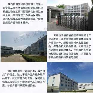 新款直销木犀草素98% 木樨草素 100g/袋 491-70-3 HPLC检测 工厂