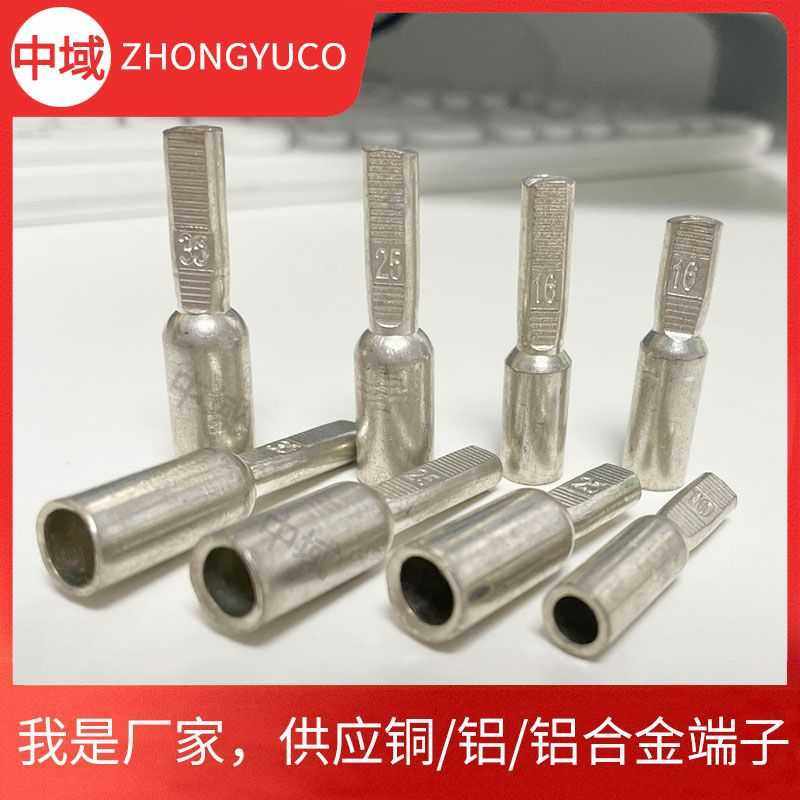 新款直销DTA电表/DTD空开用全铜插针10/16/25/35平方铜端子线耳8,电子/电工,接线端子,淘宝优惠券,粉丝福利购,淘宝优惠卷