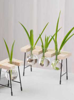 新款直销架子款水培木架花瓶小清新家具客厅简约装饰摆件桌面绿萝