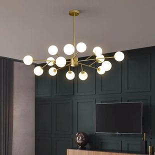 分子灯具现代简约创意魔豆卧 北欧轻奢风格 新款 直销极简客厅吊灯