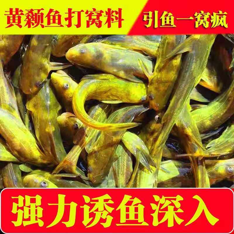 新款直销黄颡鱼黄辣丁昂刺鱼饵料打窝料黄骨鱼鱼食渔具店货源直发,宠物/宠物食品及用品,鱼,淘宝优惠券,粉丝福利购,淘宝优惠卷
