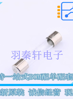 一次性保险丝 0312.100MXP - 全新原装进口