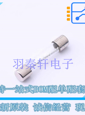 一次性保险丝 0313015.HXP - 全新原装进口