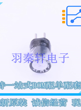 一次性保险丝 0273.062V 插件 全新原装进口