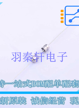 一次性保险丝 021306.3MXEP 插件,5.5x21.5mm 全新原装进口