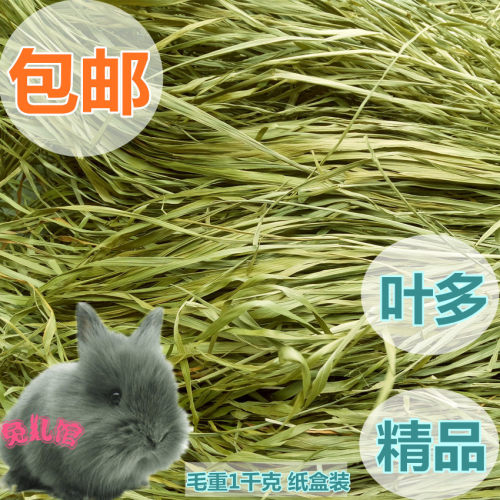 新草南提 兔子龙猫荷兰猪提摩西草牧草干草毛重1千克 包邮