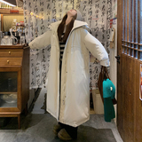 大立领oversiads现货25冬50鸭绒羽绒超长款ZB237-6695-p380-k588，女装羽绒服，浙宝237