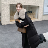 狐狸毛毛领现货25冬50鸭绒羽绒简约长款款ZB237-6693-p380-K569，女装羽绒服，浙宝237