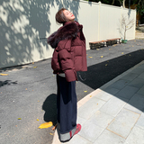 现货90白鸭绒24冬保暖带真狐狸毛设计羽绒服ZB237-6689-p400-k589，女装羽绒服，浙宝237