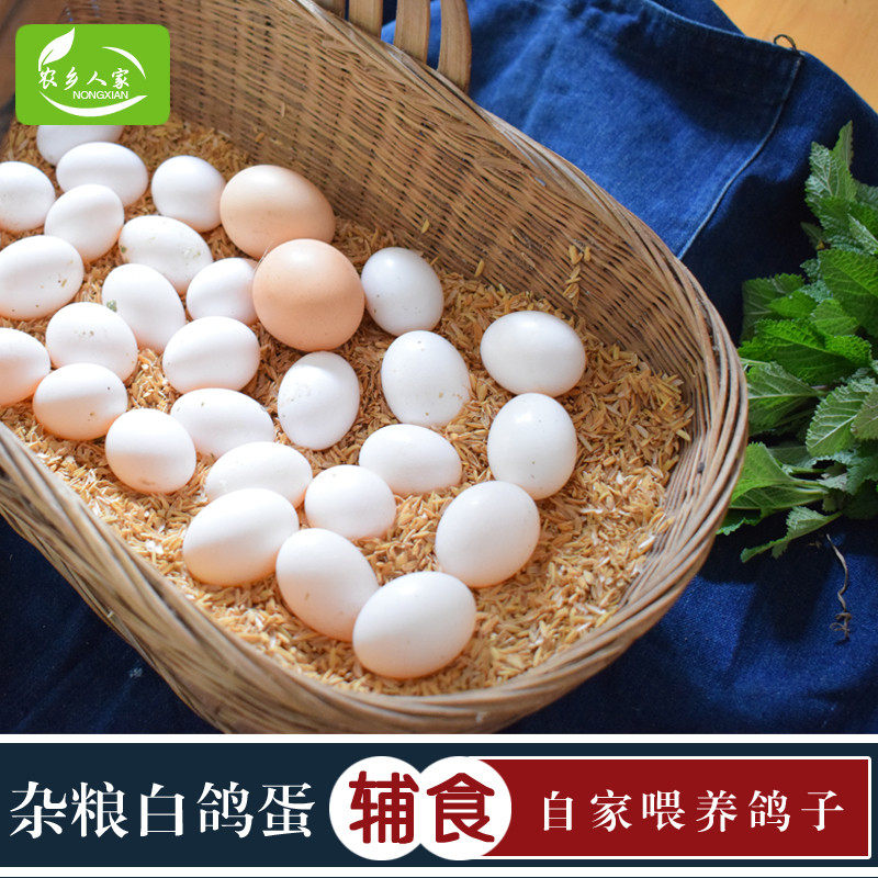 农家鸽子蛋新鲜杂粮白鸽蛋乡村散养宝宝辅食鸽蛋鸽子蛋30个包邮