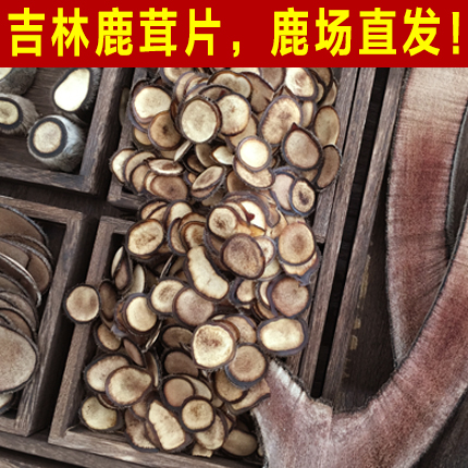 吉林长白山梅花鲜鹿茸整枝片正品鹿茸片白粉片血片泡酒 20g