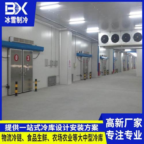 农场蔬菜保鲜库冷库全套设备大型水果食品低温冷冻库速冻库安装