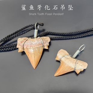 天然古生物鲨鱼牙化石吊坠手链个性七夕情侣饰品复古项链首饰品