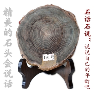 硅化木化石家居摆件古生物保留羽毛状年轮笔筒科教学标本收藏9999