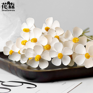 紫罗兰白色永生花天然蝴蝶兰干花家居软装花瓶插花diy手工五瓣花