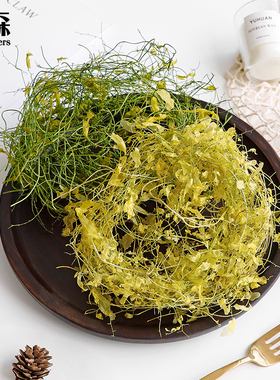 大地农园进口桑叶藤海金沙永生花03320系列DIY搭配叶材料藤蔓植物