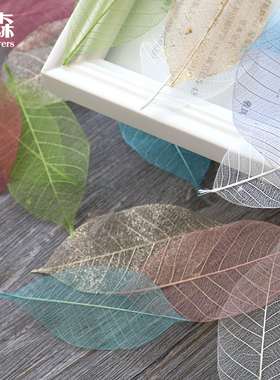 进口叶脉透明叶子日本大地农园小叶脉透明配叶51494永生花配材diy