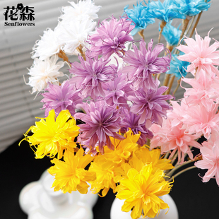 手工拼接花昙花永生花干花手工家居花艺设计DIY花材小众清新插花