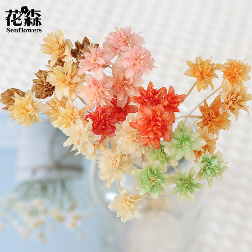 花森永生花小山花多色可选小巧
