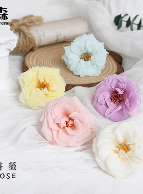 进口日本大地农园永生花保鲜花蔷薇玛丽安02412diy手工插花装饰