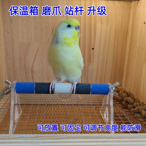 鹦鹉保温箱站杆放置型可固定防滑