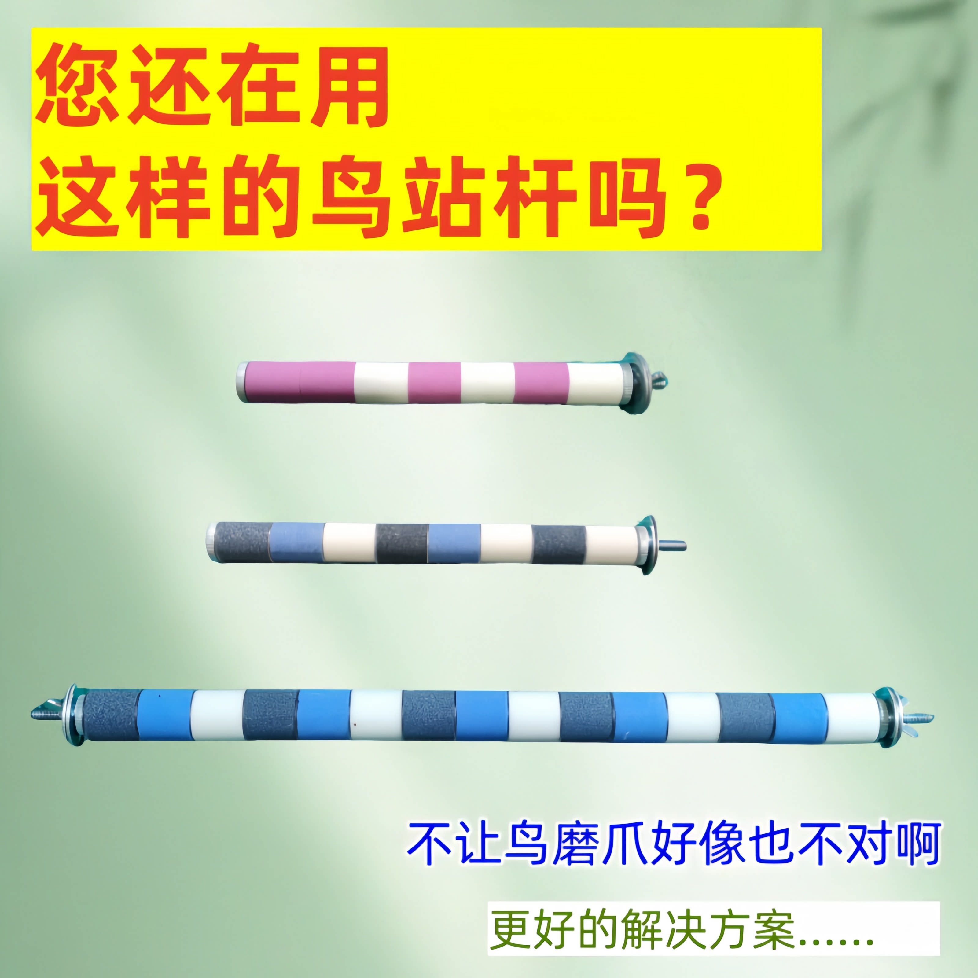 鸟杠混合站杆磨砂花椒木混合鹦鹉图片