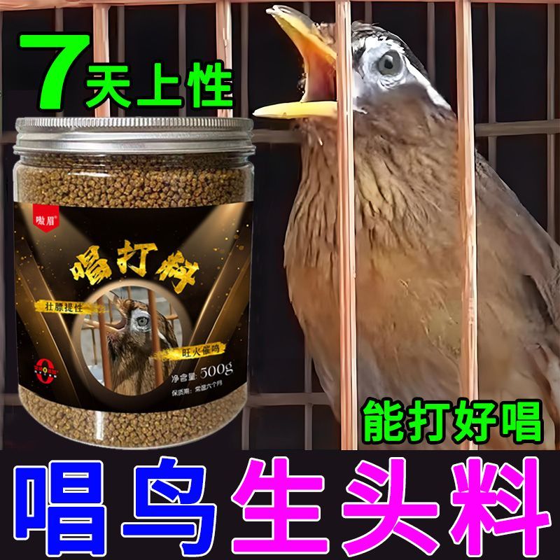 画眉食饲料【一吃开唱】