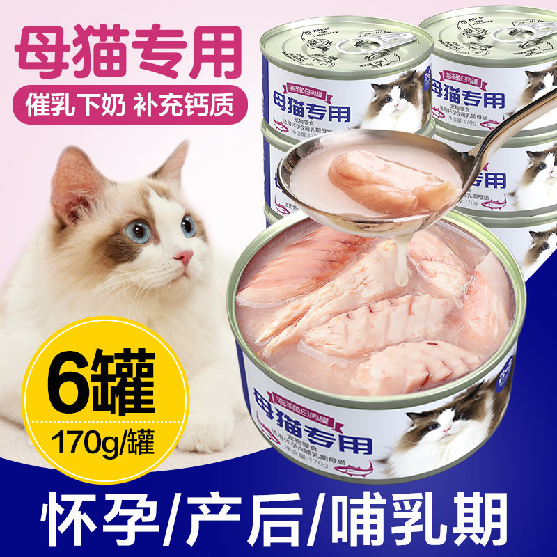 孕猫母猫怀孕哺乳期产后