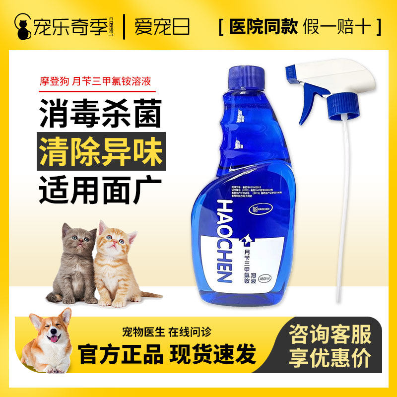 摩登狗月苄三甲氯铵溶液宠物犬猫消毒液460ml