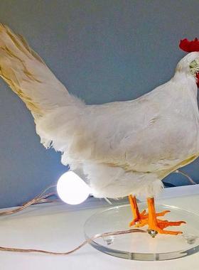 跨境新款 复活节白色公鸡灯真鸡装饰品摆件树脂设计台灯灯泡