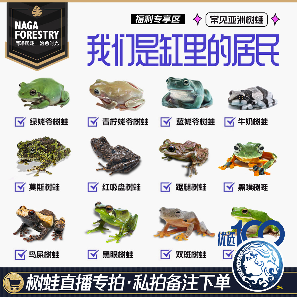精选活体爬宠爆款美丽可爱懒人养