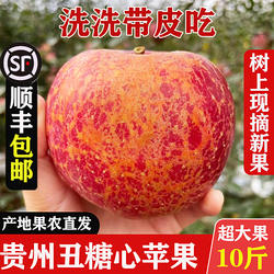 2025当季正宗贵州威宁苹果丑冰糖心新鲜红富士脆苹果10斤顺丰包邮