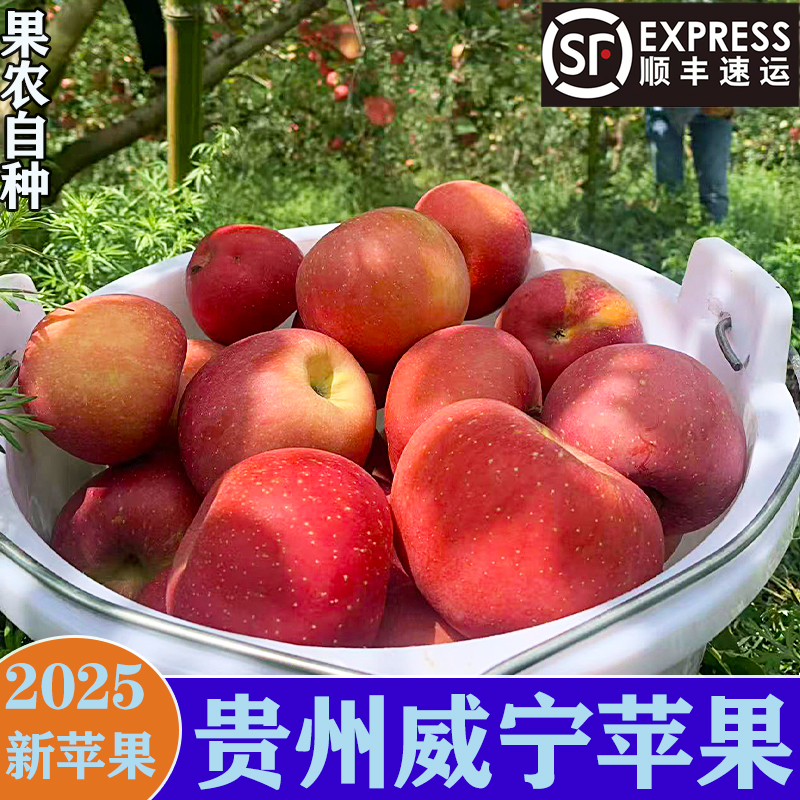 贵州威宁深山糖心丑苹果顺丰包邮