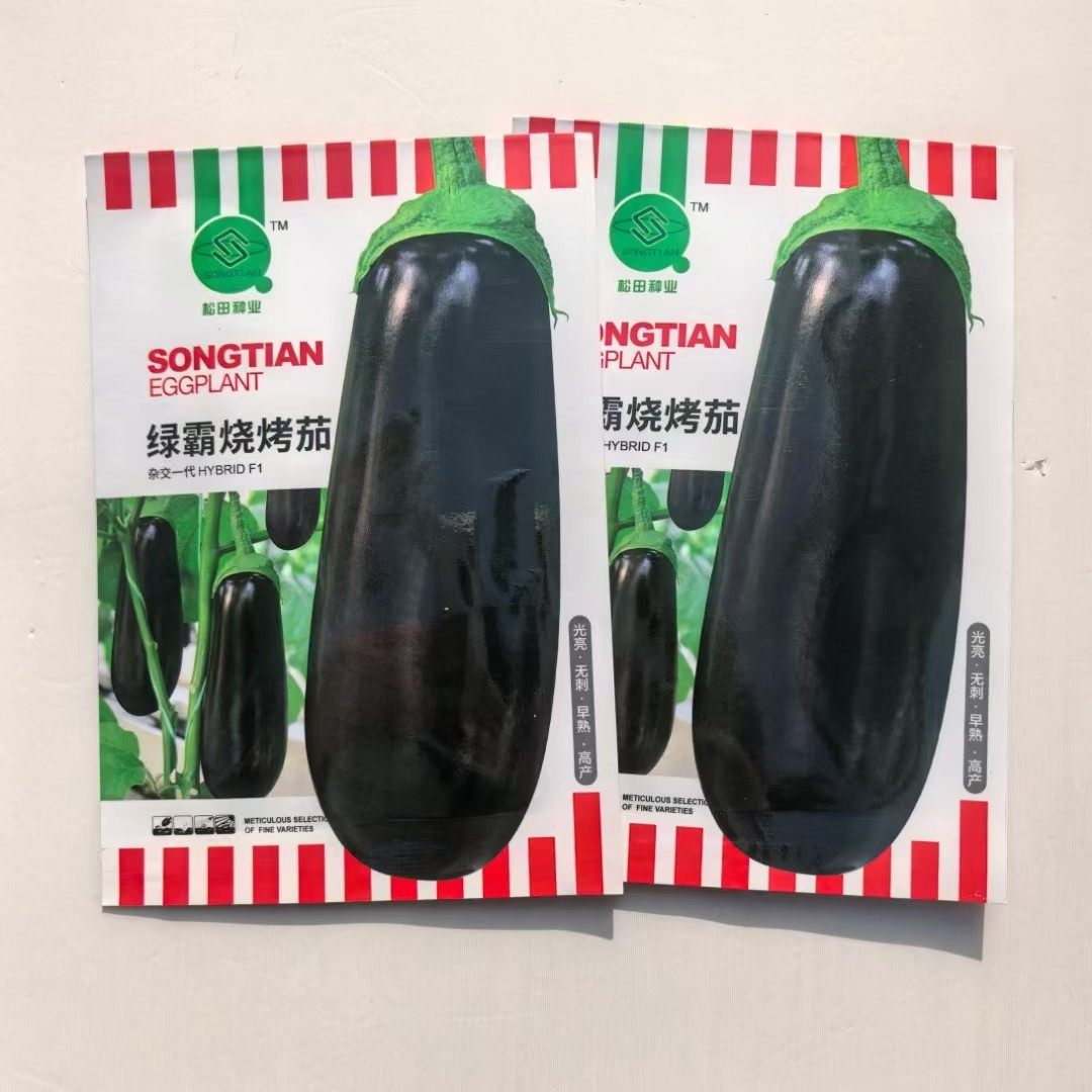 烧烤茄种子黑皮粗棒紫黑长茄种子烧烤茄子大田抗病高产茄子籽,农用物资,蔬菜种子/种苗,淘宝优惠券,粉丝福利购,淘宝优惠卷