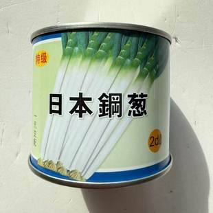 日本铁杆大葱种子山东大葱种籽钢葱耐热耐寒基地专用