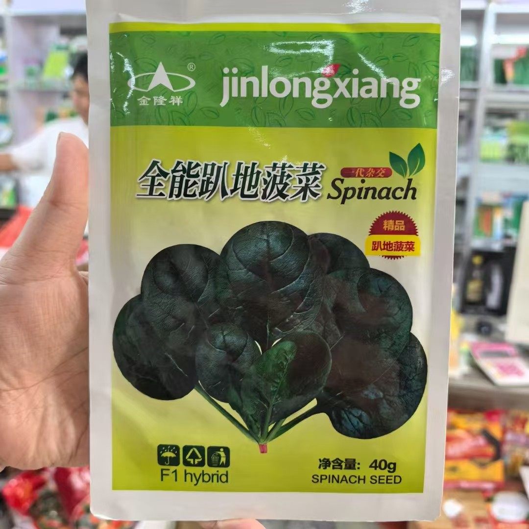 抗病趴地菠菜种子抗病丰产南北方春秋播四季蔬菜种子菠菜籽,农用物资,蔬菜种子/种苗,淘宝优惠券,粉丝福利购,淘宝优惠卷
