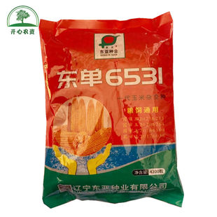 东单6531玉米种子 东亚玉米杂交种籽 4200粒/袋 原包装发货