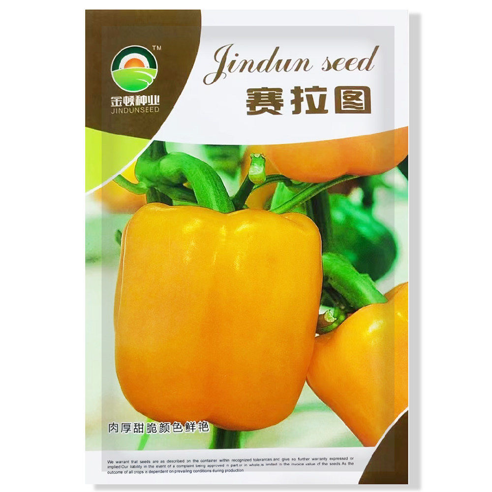赛拉图大果型黄椒辣椒种子中早熟品种节间短抗病毒根腐病基地用种