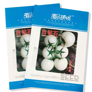 查尔斯顿白钻石白果型番茄种子杂交种子无限生长型叶色黄绿基地用