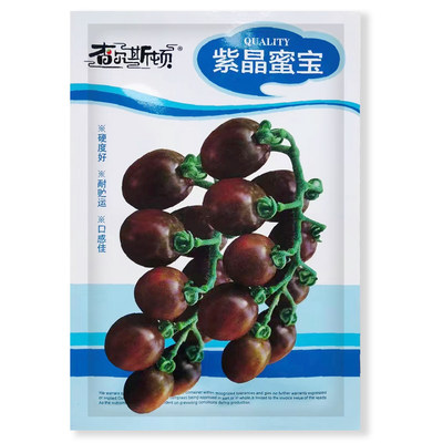 查尔顿紫晶蜜宝无限生长樱桃番茄种子紫色果耐贮运不易裂果产量高