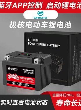 极核电动车蓝牙摩托车锂电池启动小电瓶辅助电池适用AE8S AE7 AE6