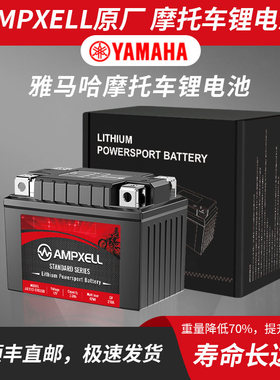 雅马哈巧格i 旭鹰 飞致NMAX/R1/R6/XSR 900R适用摩托车锂电池电瓶