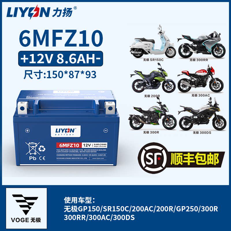 力扬无极电瓶150/250GT/300/500RR/CU525/650DSX冬季低温专用电池