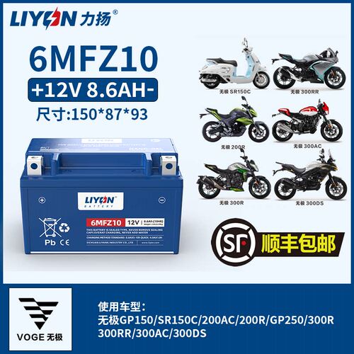 力扬无极电瓶150/250GT/300/500RR/CU525/650DSX冬季低温专用电池