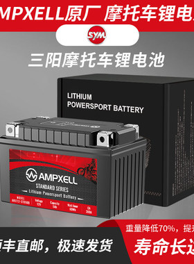三阳飞度3/4/5巡戈150/180/300/DRG150九妹Z300适配摩托车锂电池