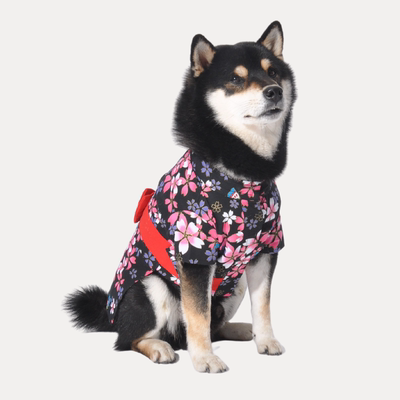 日系休闲柴犬宠物和服狗狗衣服